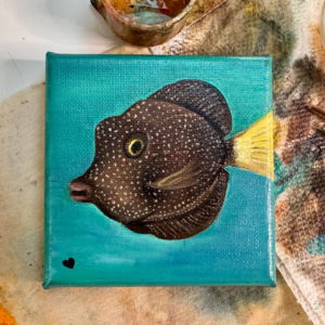 13/100 – Mako