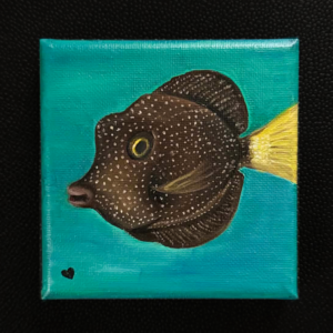 13/100 – Mako